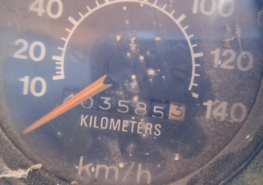 ** Wrecking ** 1984 International ACCO T2650 - Image 24