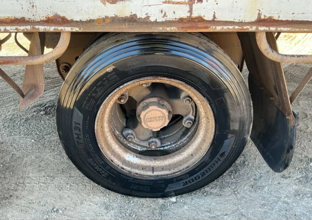 2005 P & G Body Builders - Image 4