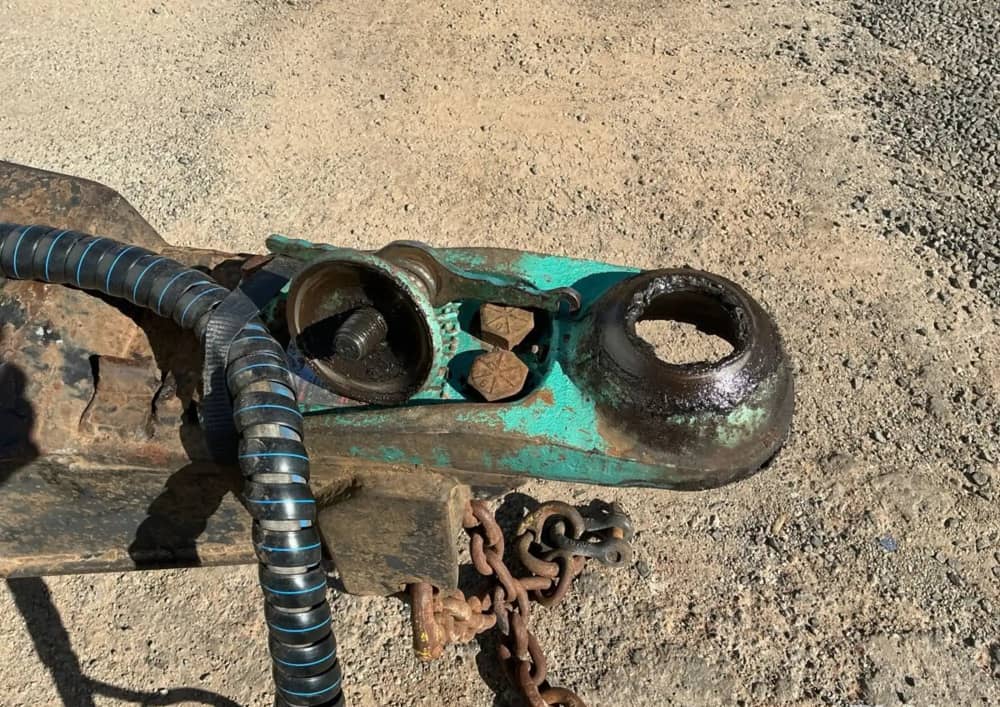 2005 P & G Body Builders - Image 30