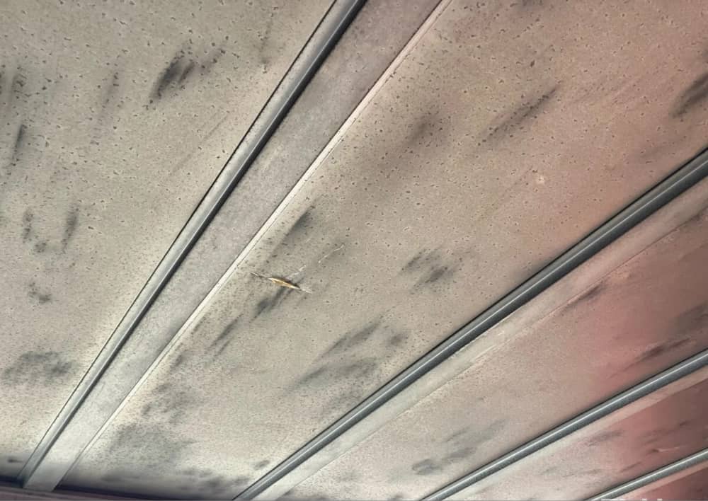 2008 Maxitrans ST3 - Image 3