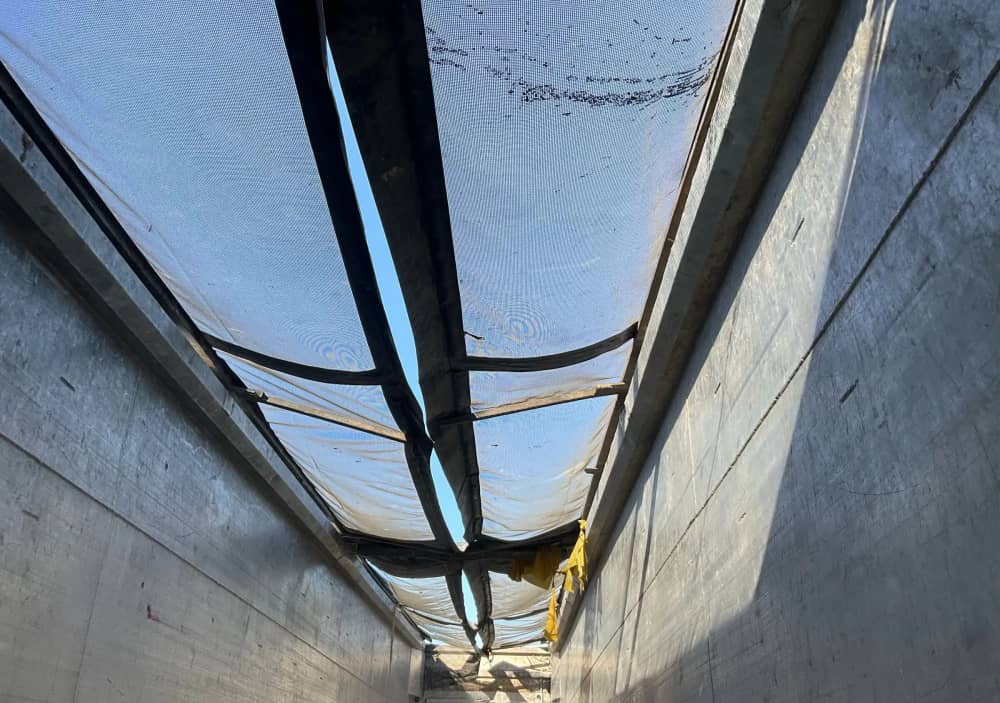 2018 Lusty - Image 11