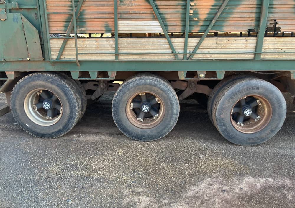 1998 Cannon Three Axle Stock Trailer - Image 17